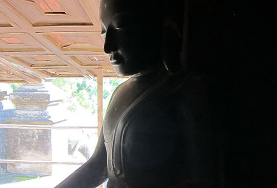 Meditation_Tai_Chi